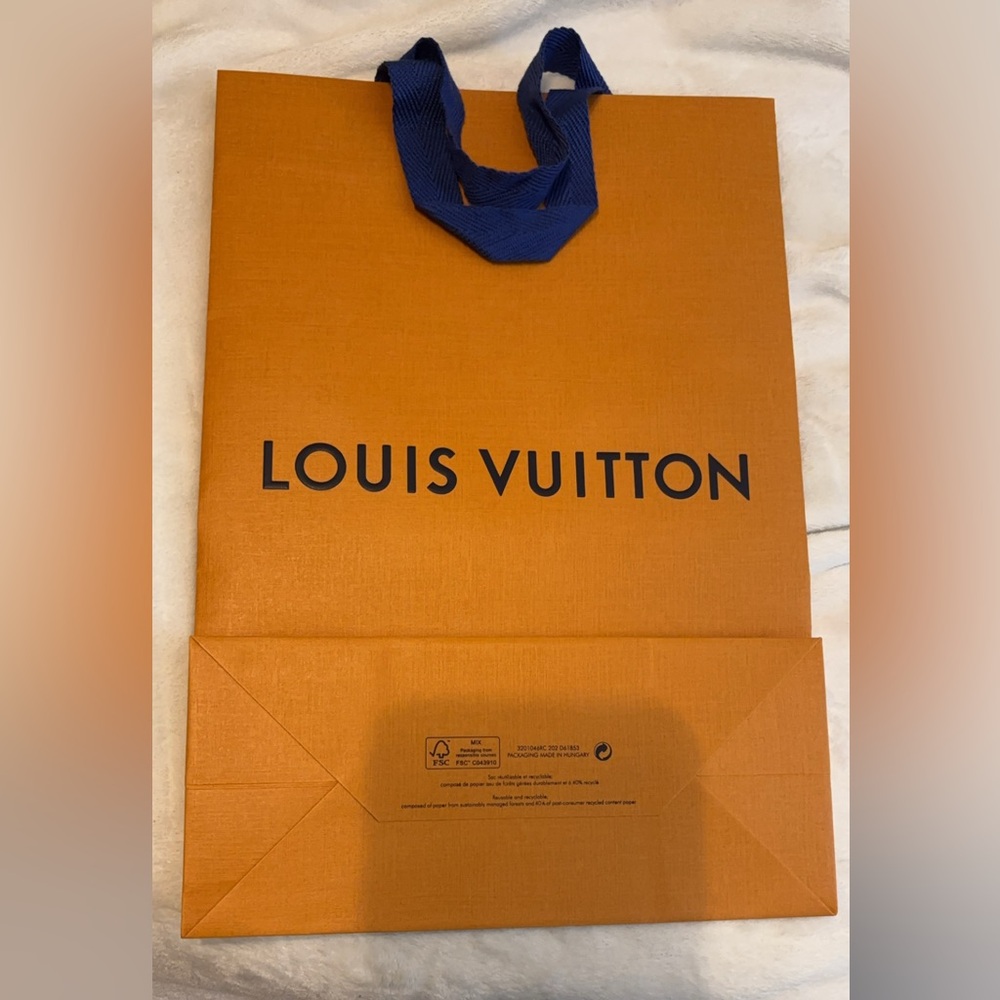 Louis Vuitton Gift Bag
